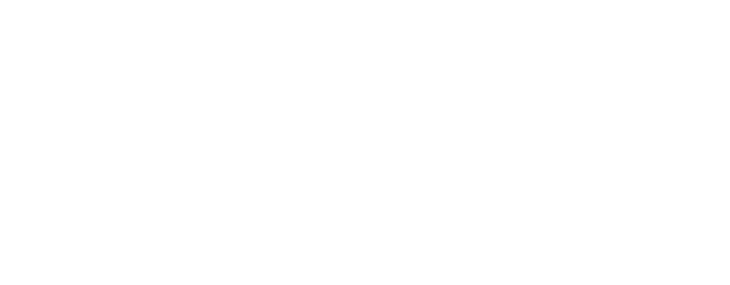 Premium Roofing