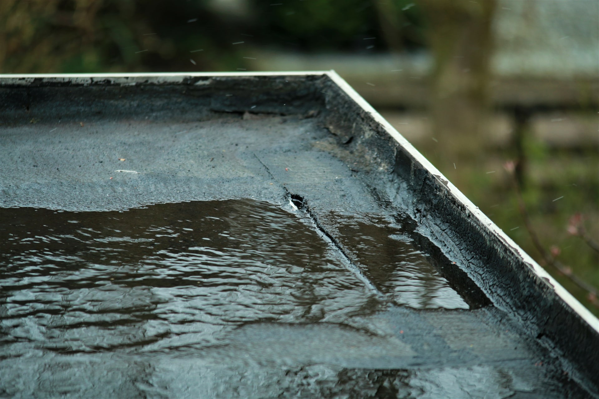 Water sitting in an open seam of a torch-on membrane at the edge of a flat roof
