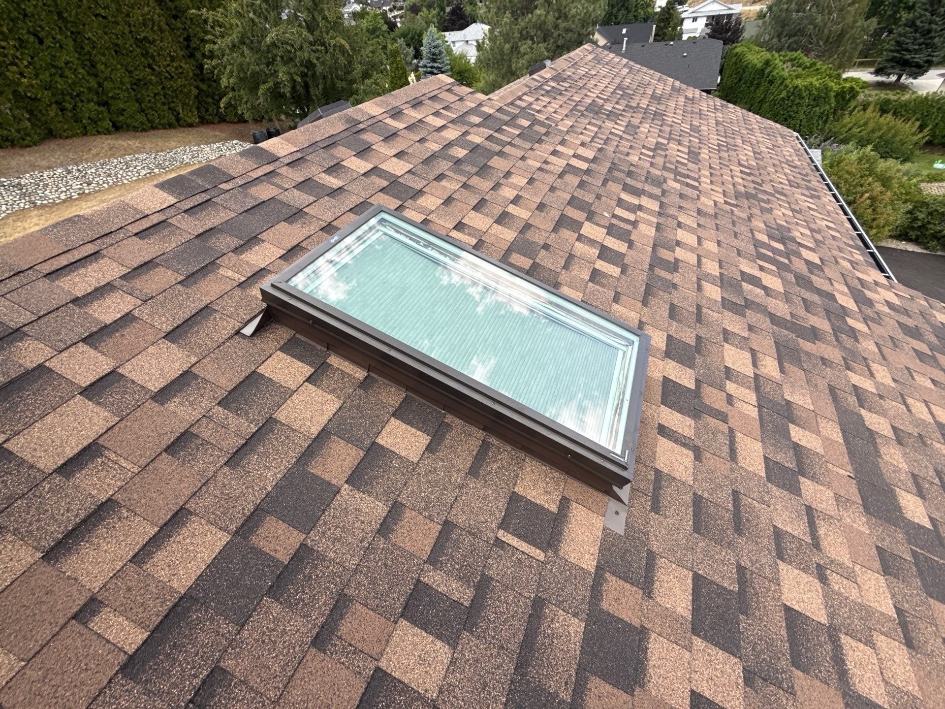 A new brown shingle roof around a skylight, hedges and the neighbouring roofs beyond